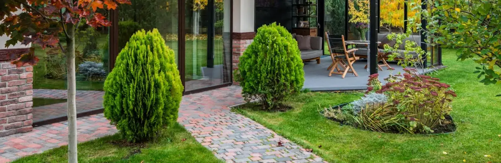 green backyard with patio and plants